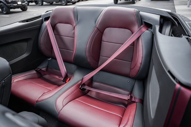 2025 Ford Mustang EcoBoost Premium Convertible - Photo 39
