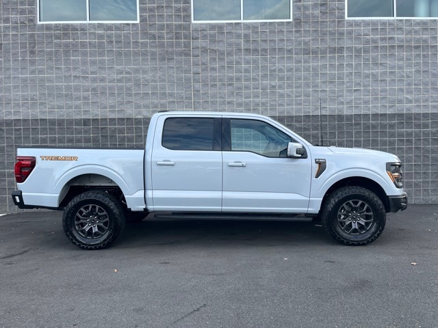 2025 Ford F-150 Tremor photo 3