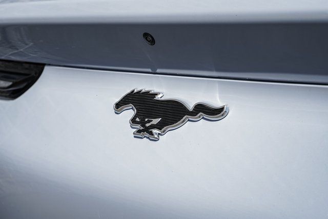 2025 Ford Mustang Mach-E Premium - Photo 10