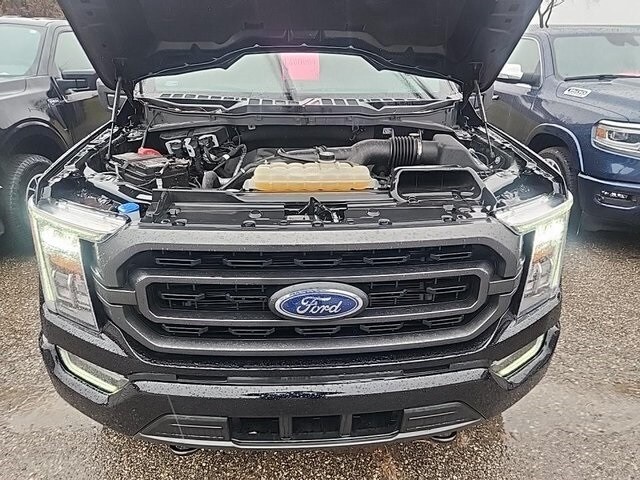 2023 Ford F-150 XLT photo 4