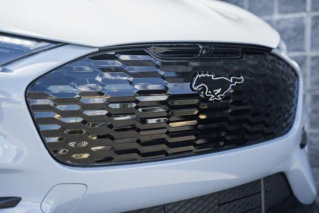 2025 Ford Mustang Mach-E GT - Photo 19