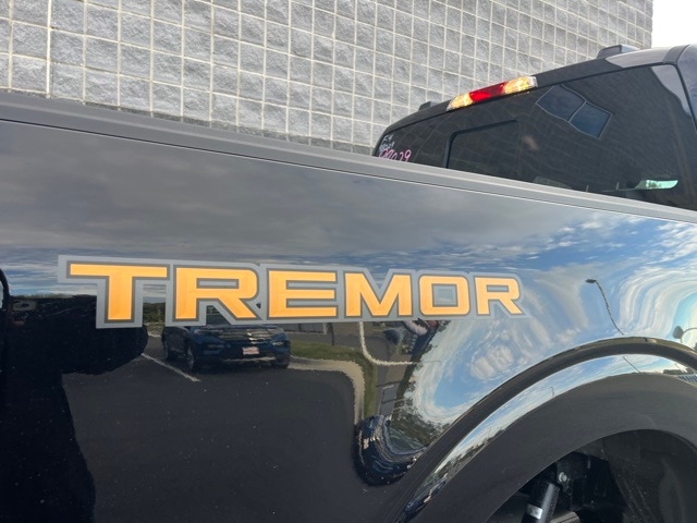 2025 Ford F-150 Tremor photo 3