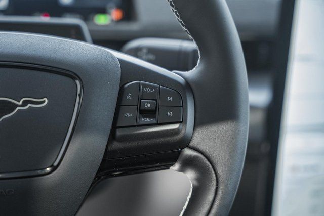 2025 Ford Mustang Mach-E GT - Photo 39