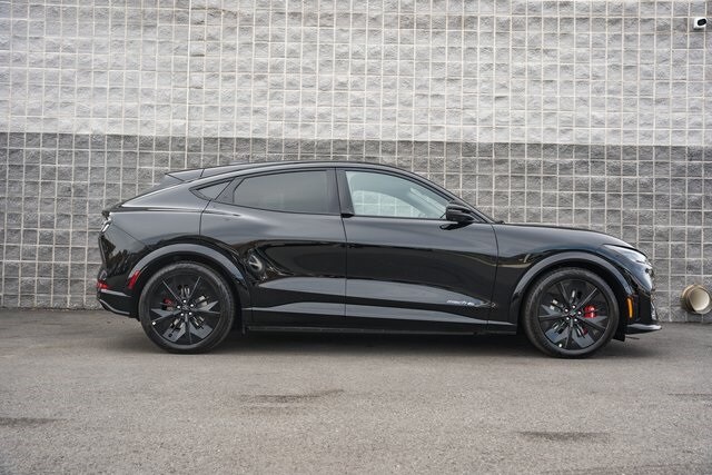 2025 Ford Mustang Mach-E GT photo 3