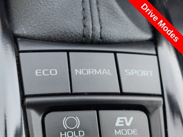 2025 Toyota Camry SE - Photo 14