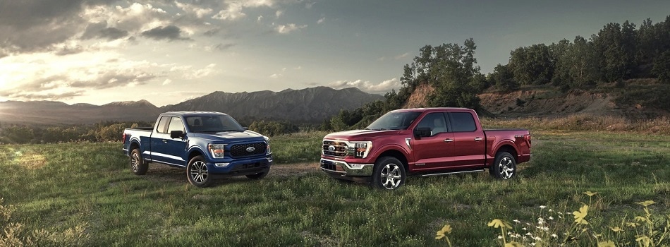 Ford F-150 Near Beaumont