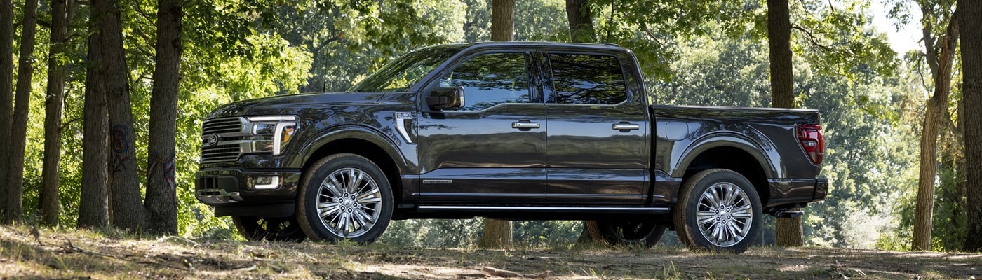 Ford F-150 Truck Grey Ford F-150 Platinum Truck parked in the woods on a sunny day