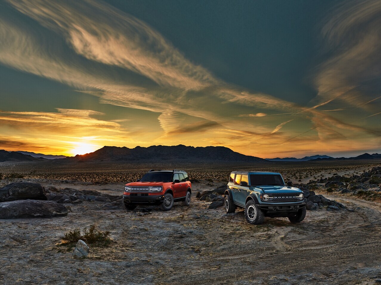 Ford SUVS