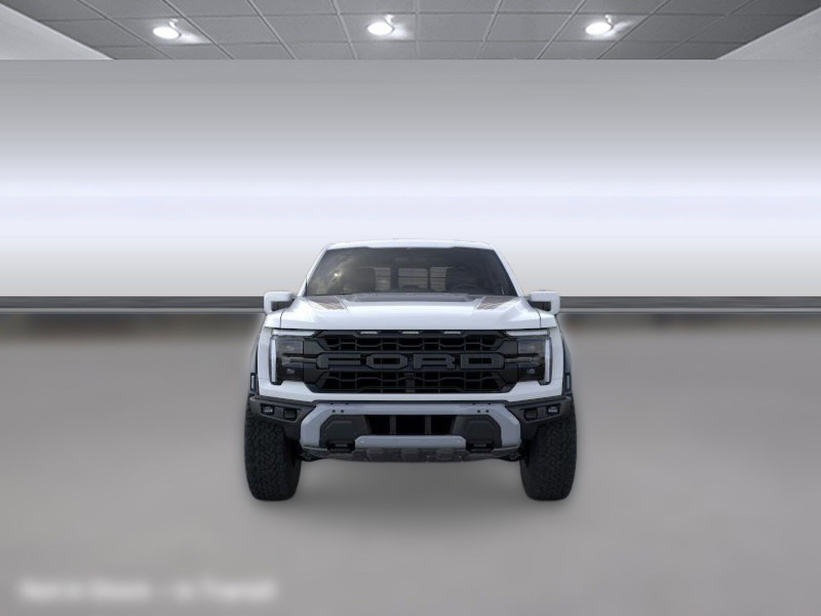 2025 Ford F-150 Raptor photo 4