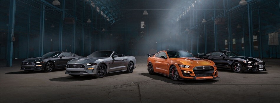 Ford Cars