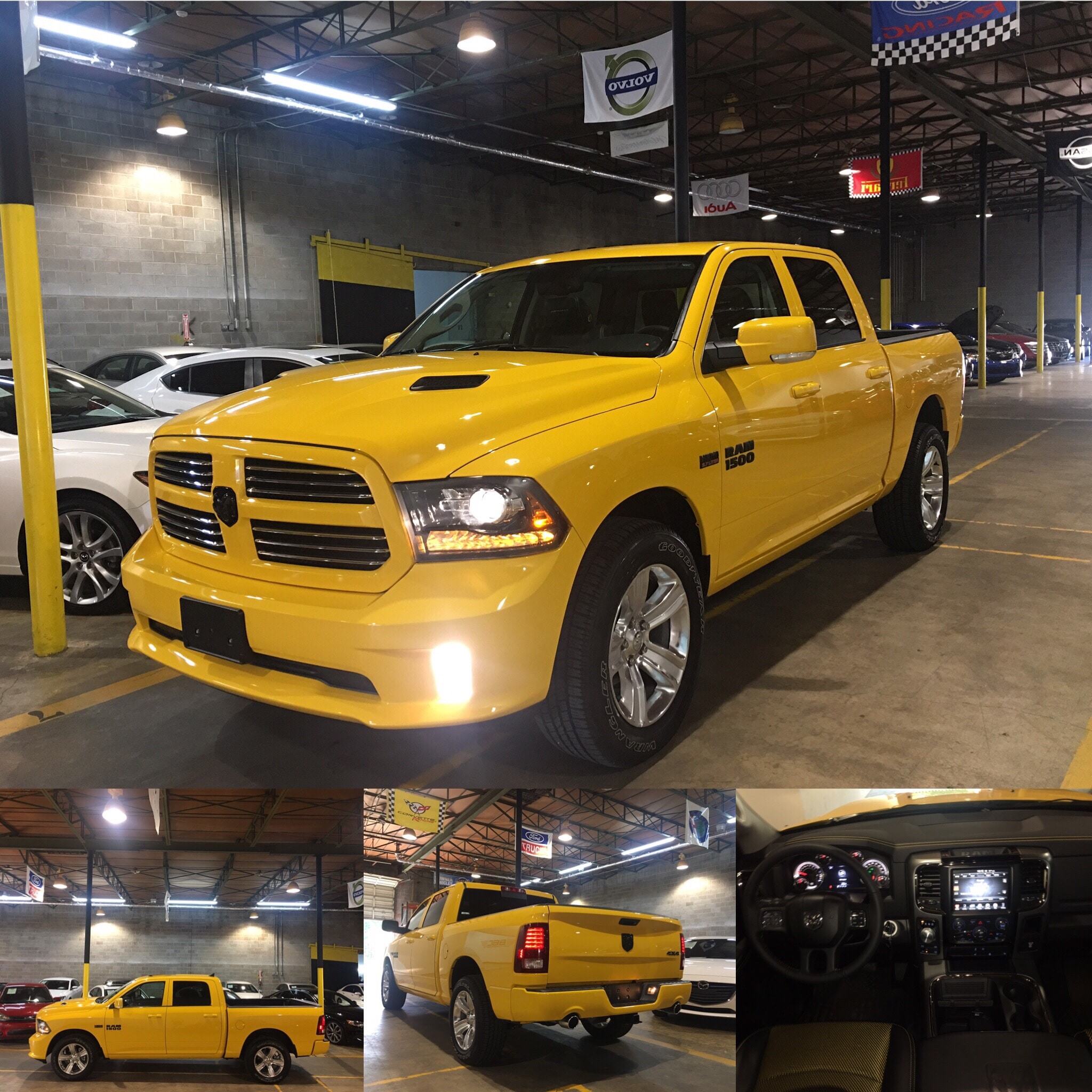 yellow ram.jpg