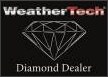 Weather Tech Logo.png