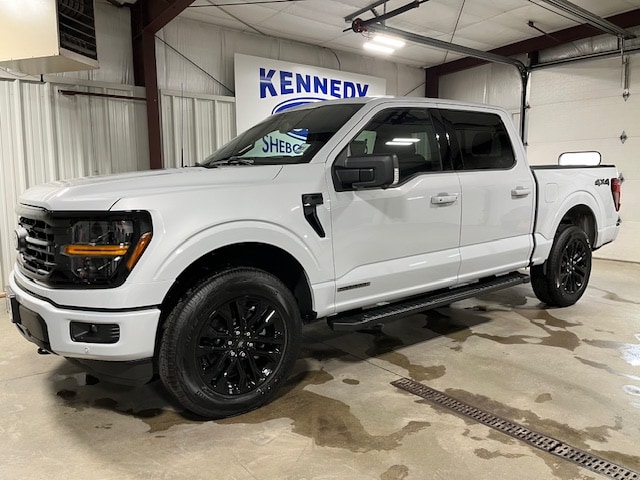 2025 Ford F-150 XLT's photo