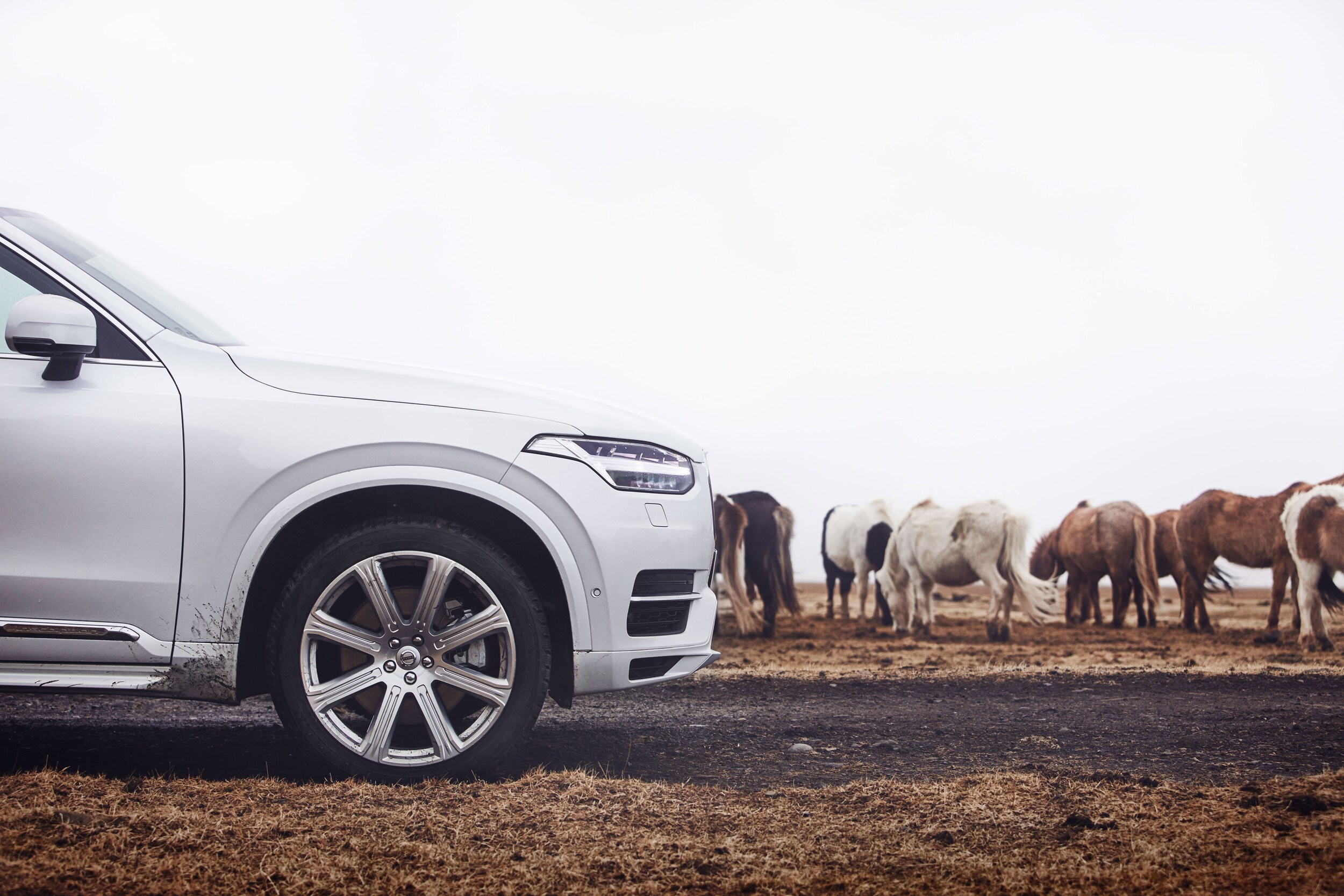 buy or lease your next vehicle with beach volvo in myrtle buy or lease a new car
