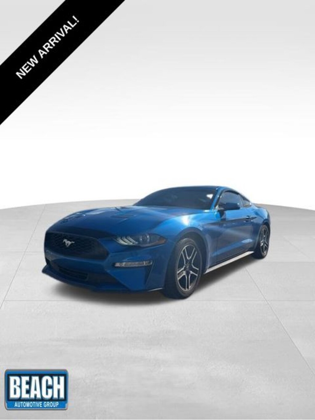 Used 2019 Ford Mustang Coupe