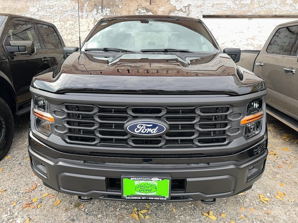 New 2025 Ford F-150 STX TRUCK