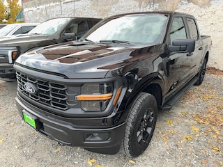 2025 Ford F-150 STX TRUCK