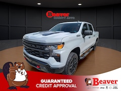 2024 Chevrolet Silverado 1500 Custom Trail Boss 4WD Crew Cab 147 Custom Trail Boss