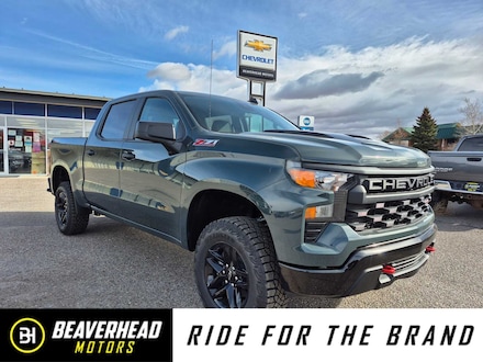 2026 Chevrolet Silverado 1500 Custom Trail Boss Truck