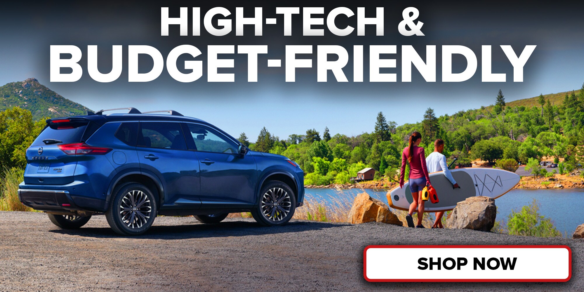 Affordable High Tech Cars