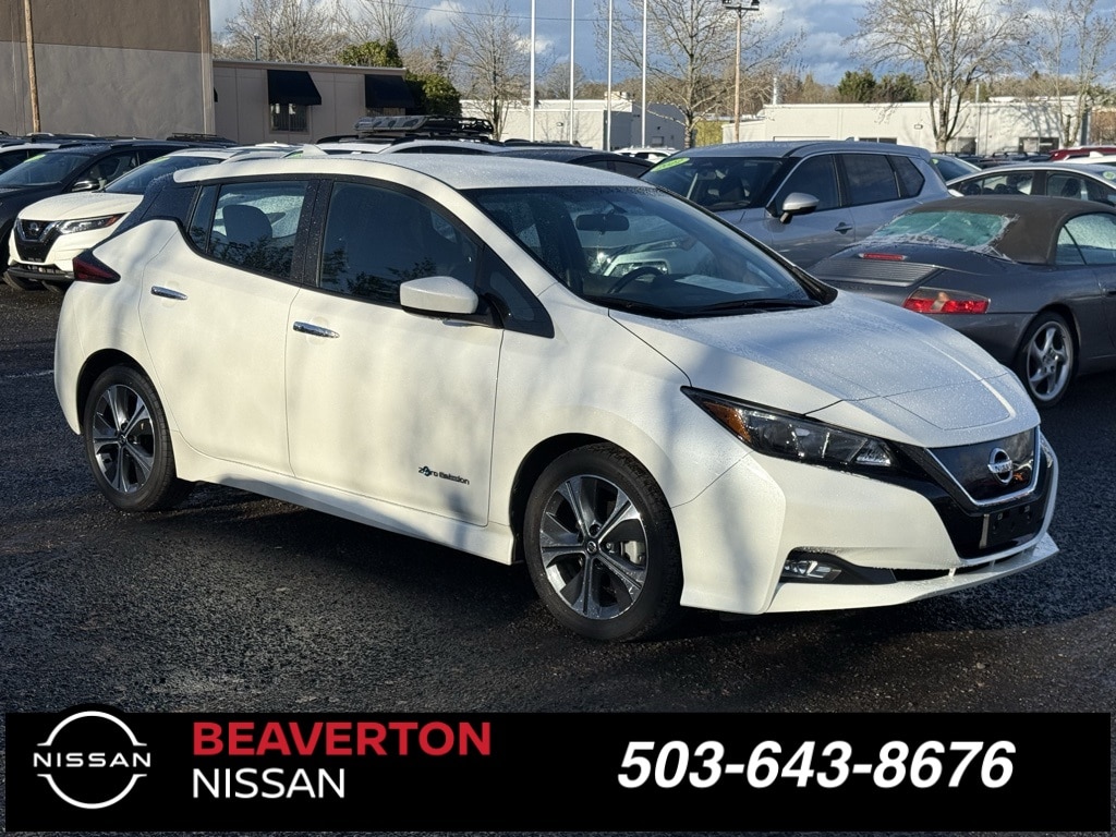 2019 Nissan Leaf