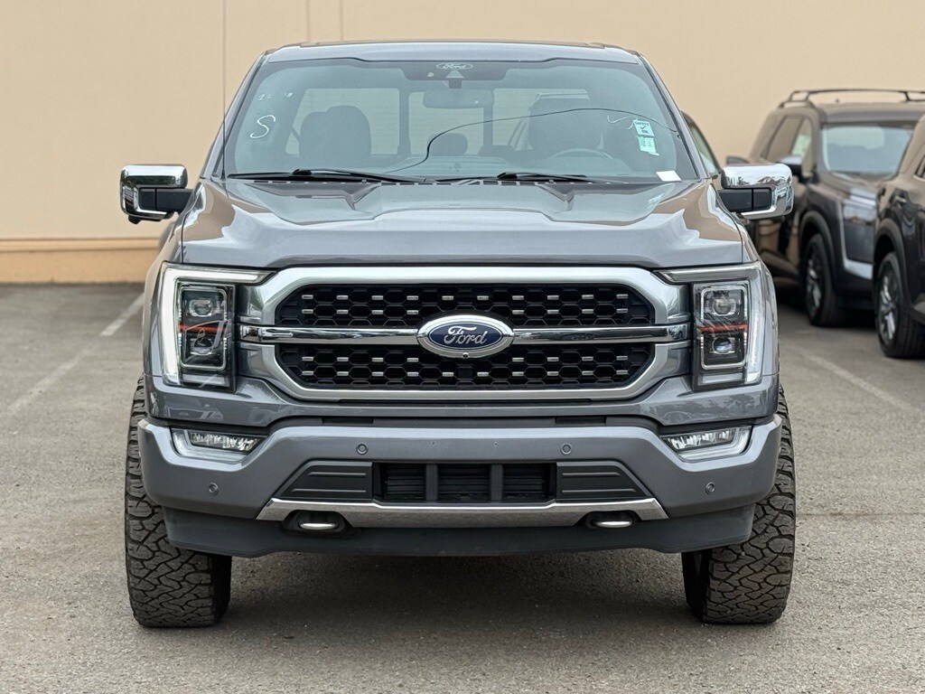 2021 Ford F-150 Platinum photo 2