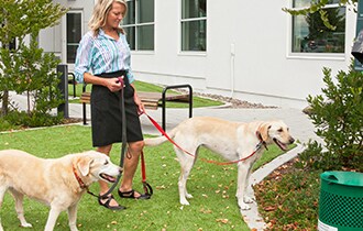 If your Pet has to Go... If your Pet has to Go...