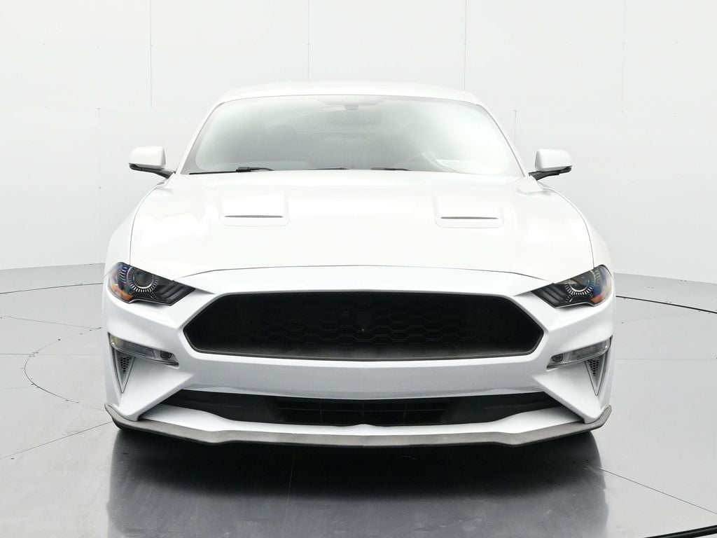 Used 2019 Ford Mustang EcoBoost Premium with VIN 1FA6P8TH5K5151241 for sale in Palatka, FL
