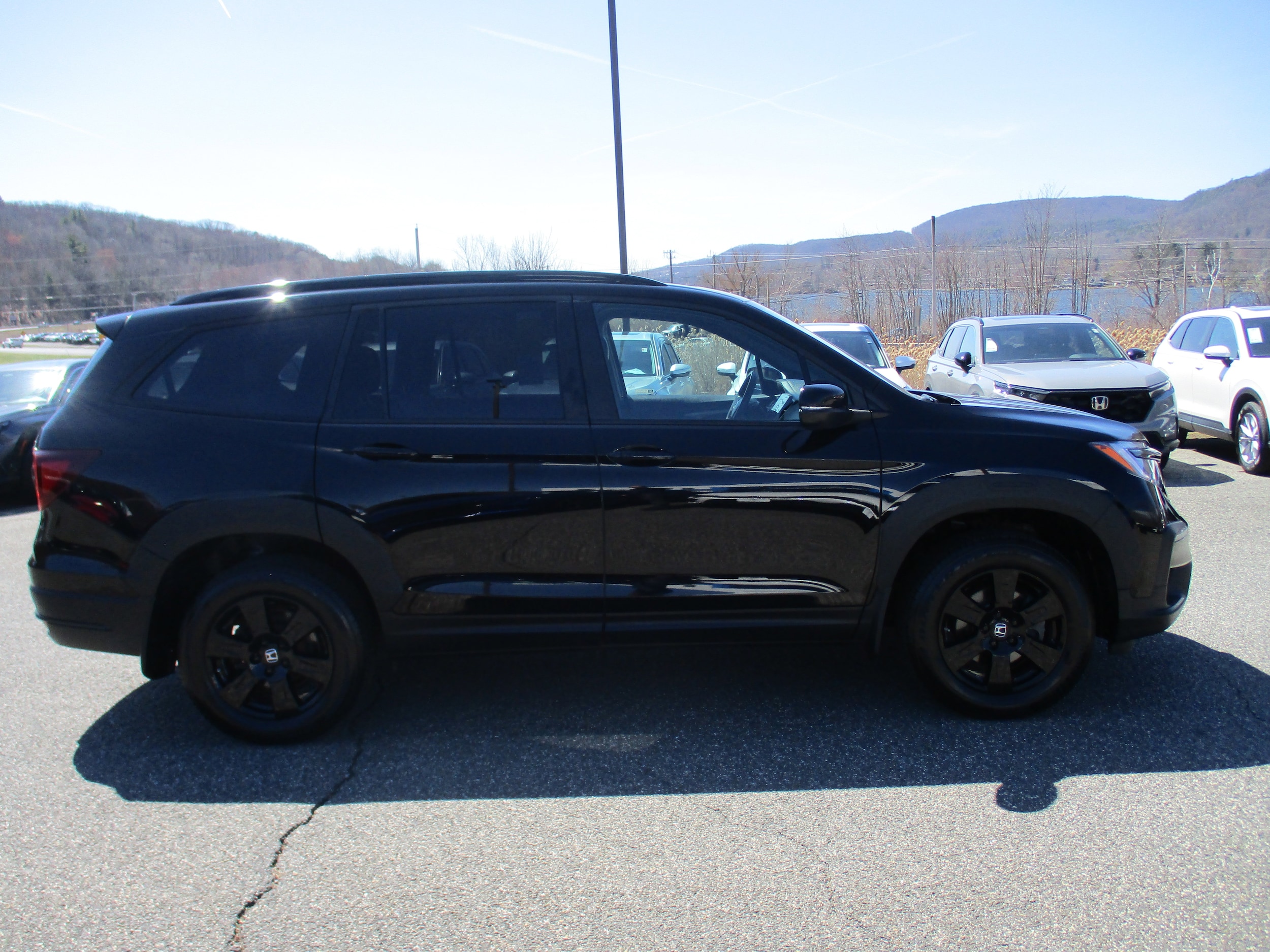 2022 Honda Pilot TrailSport - Photo 4