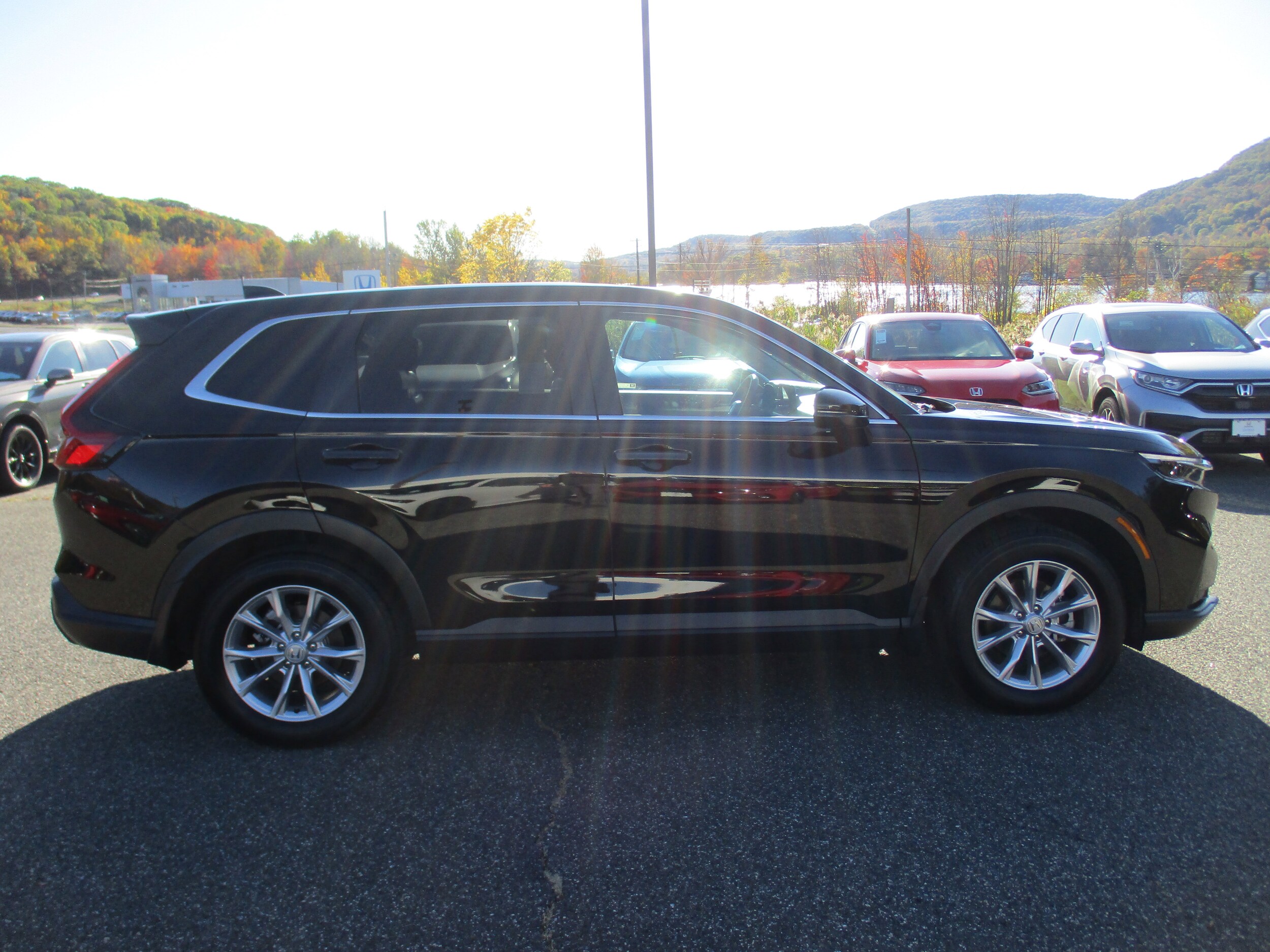 2025 Honda CR-V EX-L photo 4