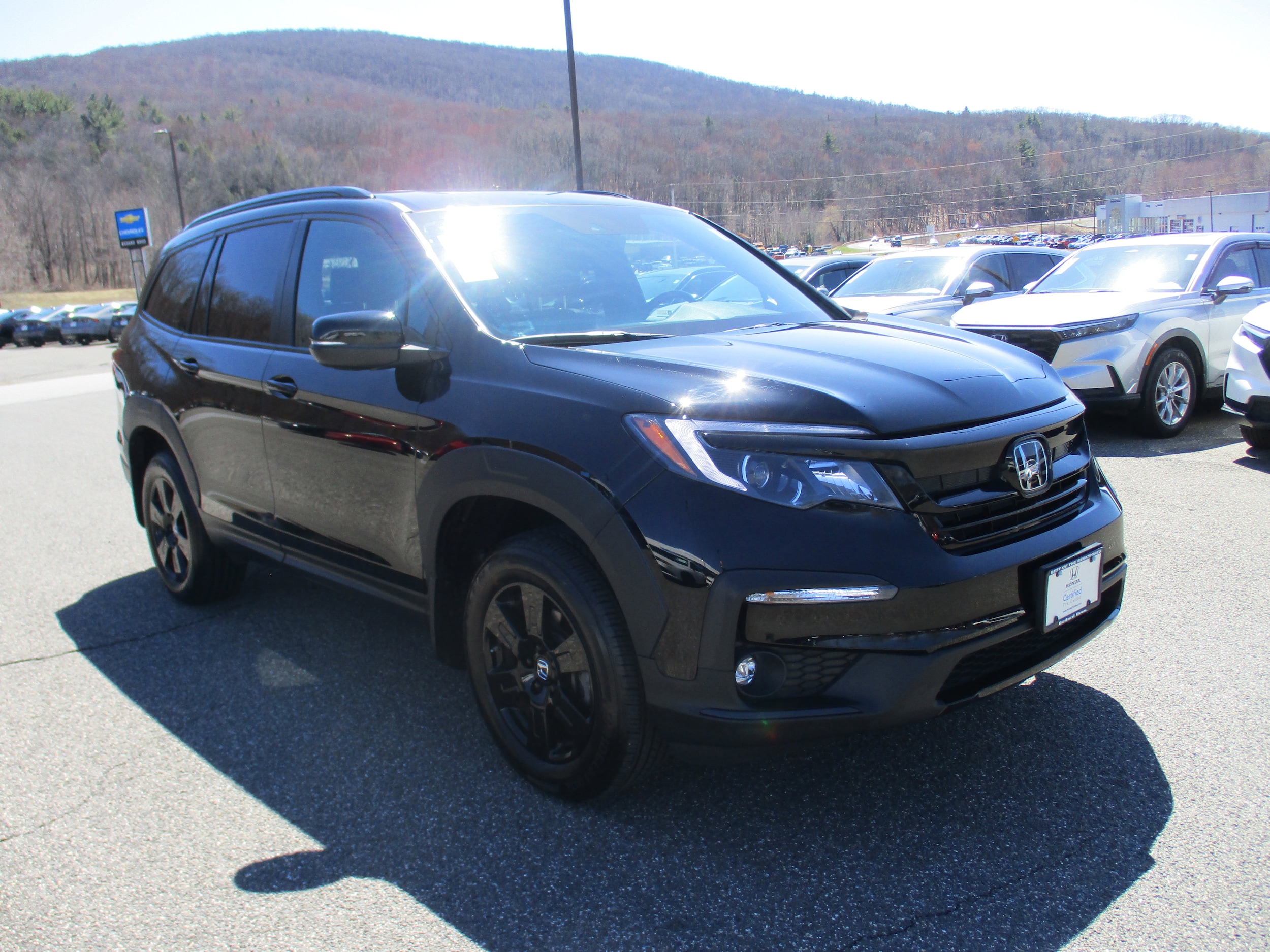 2022 Honda Pilot TrailSport - Photo 3