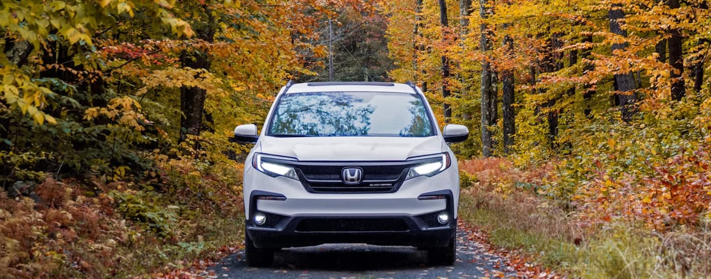 A white 2021 Honda Pilot Black Edition is shown from the front on an autumn trail.