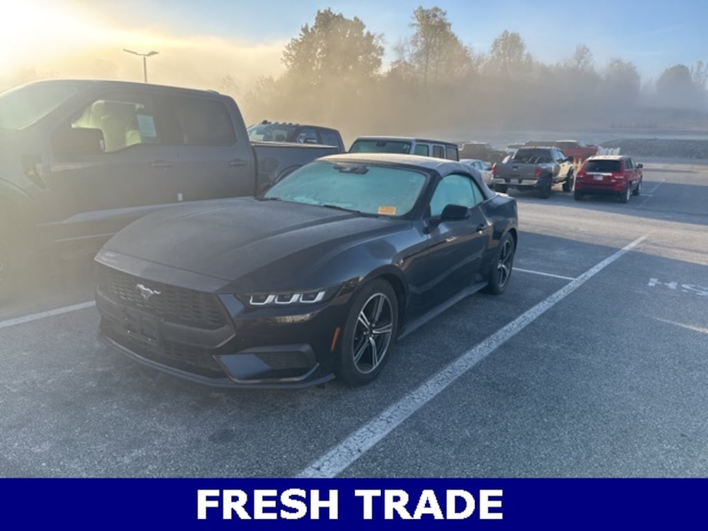 Used 2024 Ford Mustang Ecoboost Premium Convertible