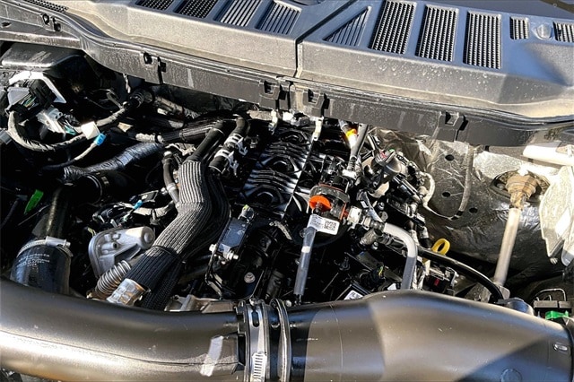 2025 Ford F-150 XLT - Photo 31