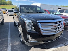 new 2020 Cadillac Escalade Platinum Edition SUV for sale in bedford in