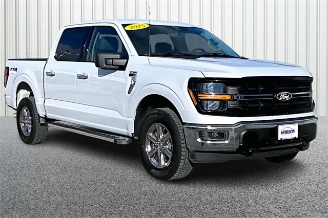 2025 Ford F-150 XLT's photo