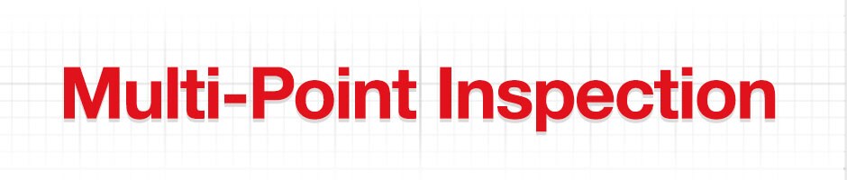 Express Service Multi-Point Inspection
