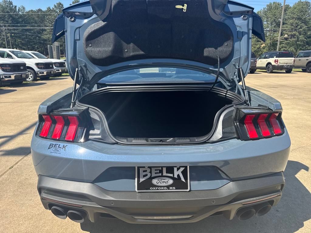 2025 Ford Mustang Dark Horse - Photo 24