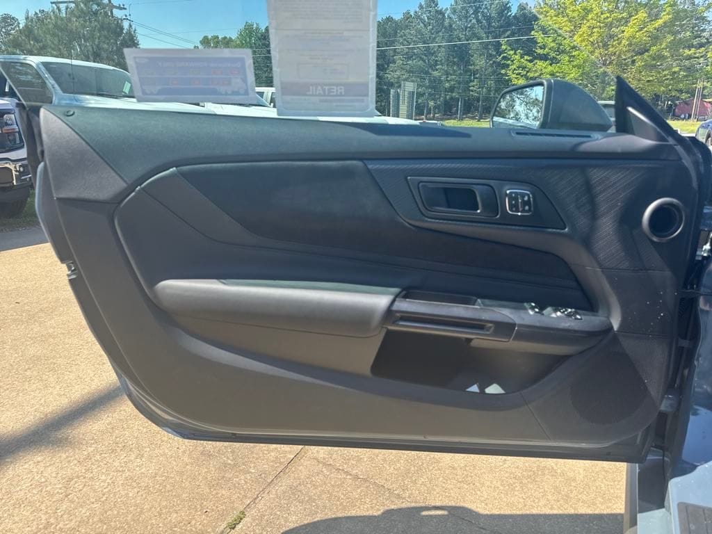 2025 Ford Mustang Dark Horse - Photo 11