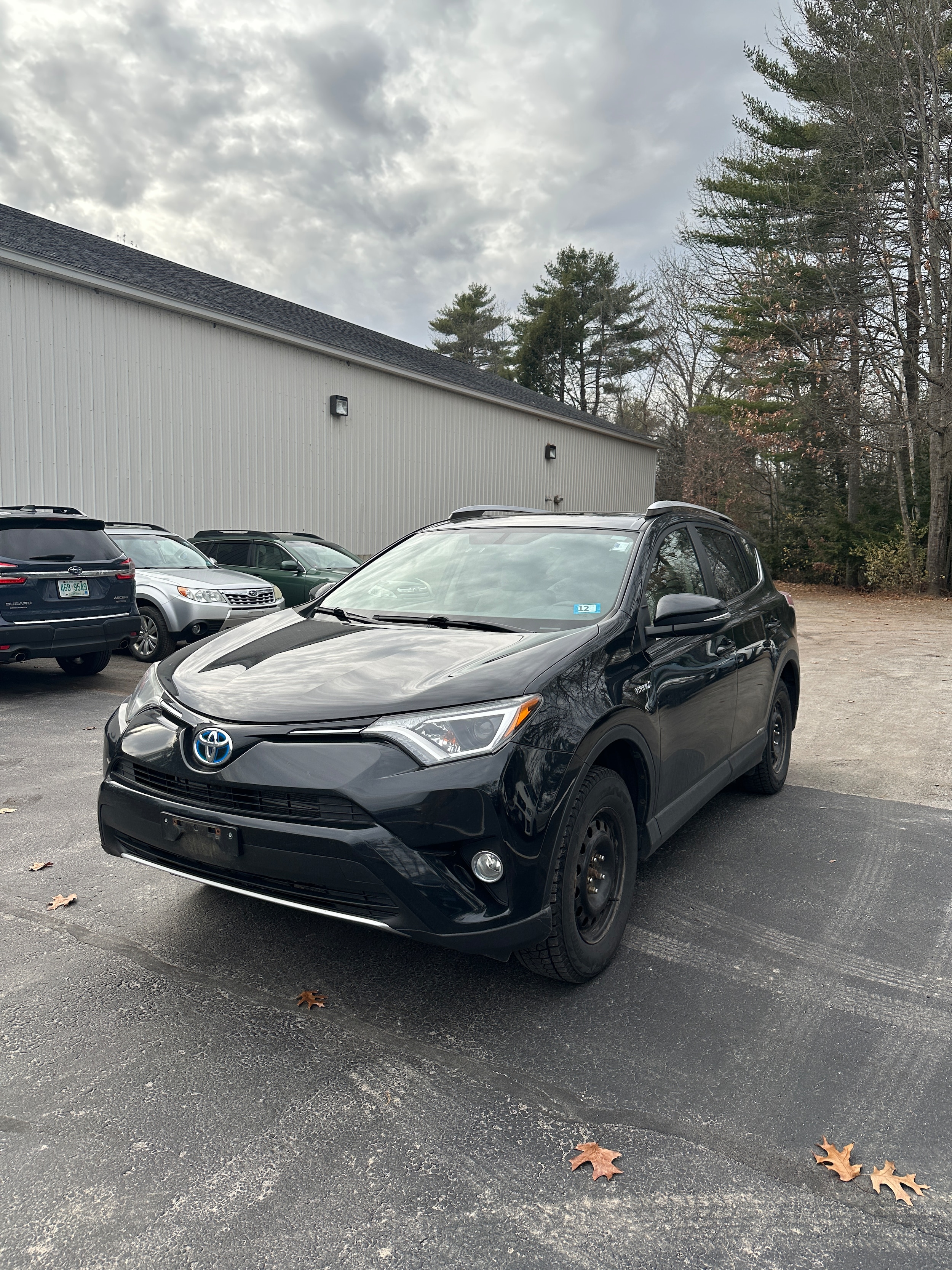 2016 Toyota RAV4 XLE