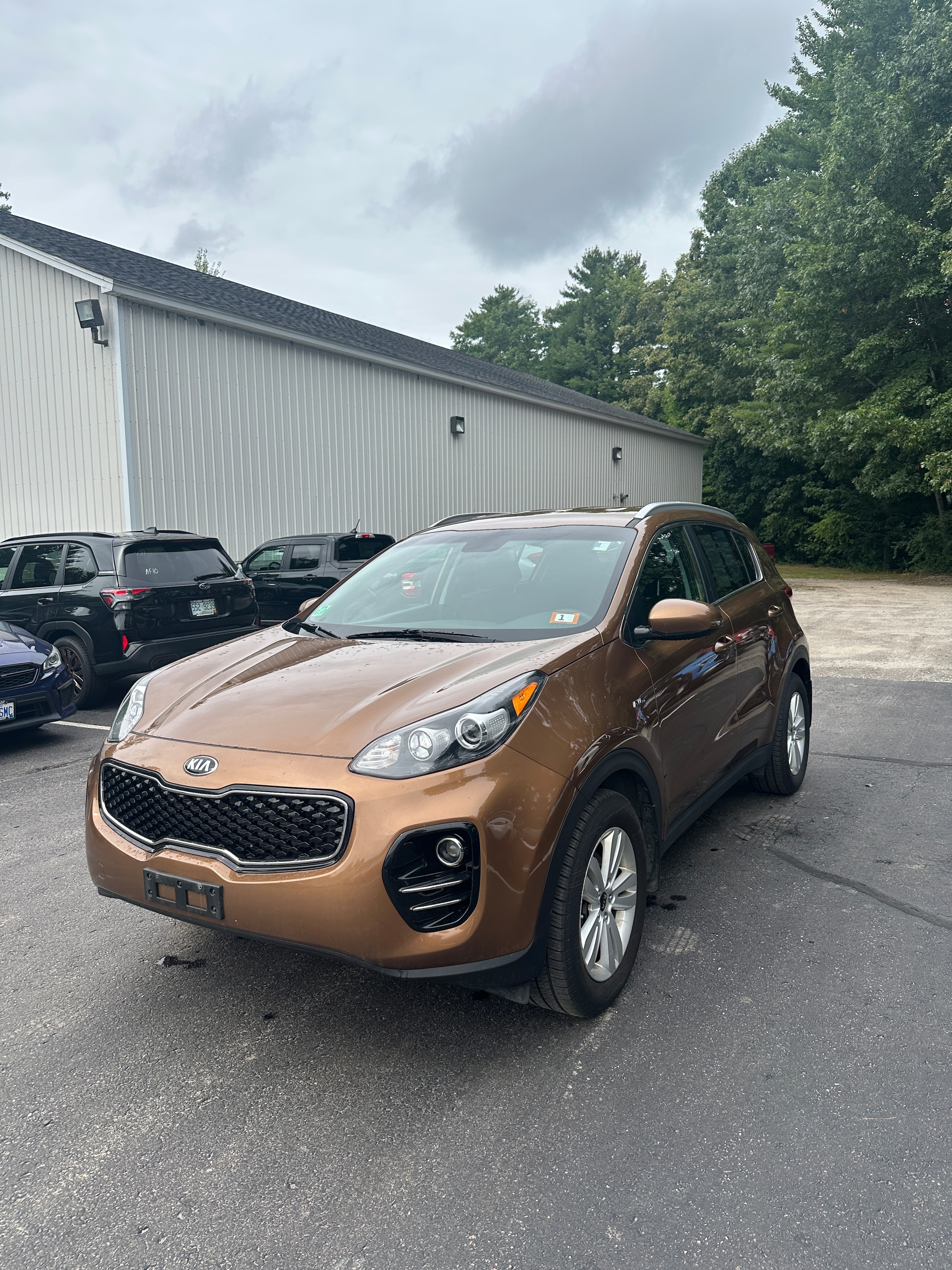 2019 Kia Sportage