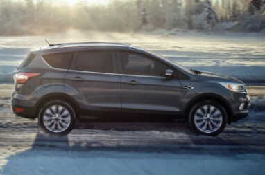 Ford Escape service near Arlington, WI