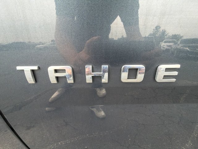Photo 31