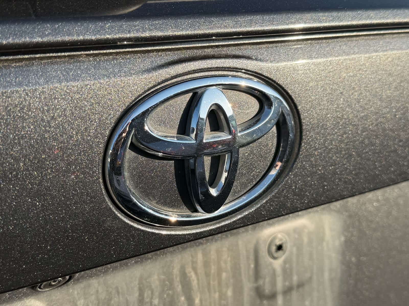 2024 Toyota RAV4 LE 5