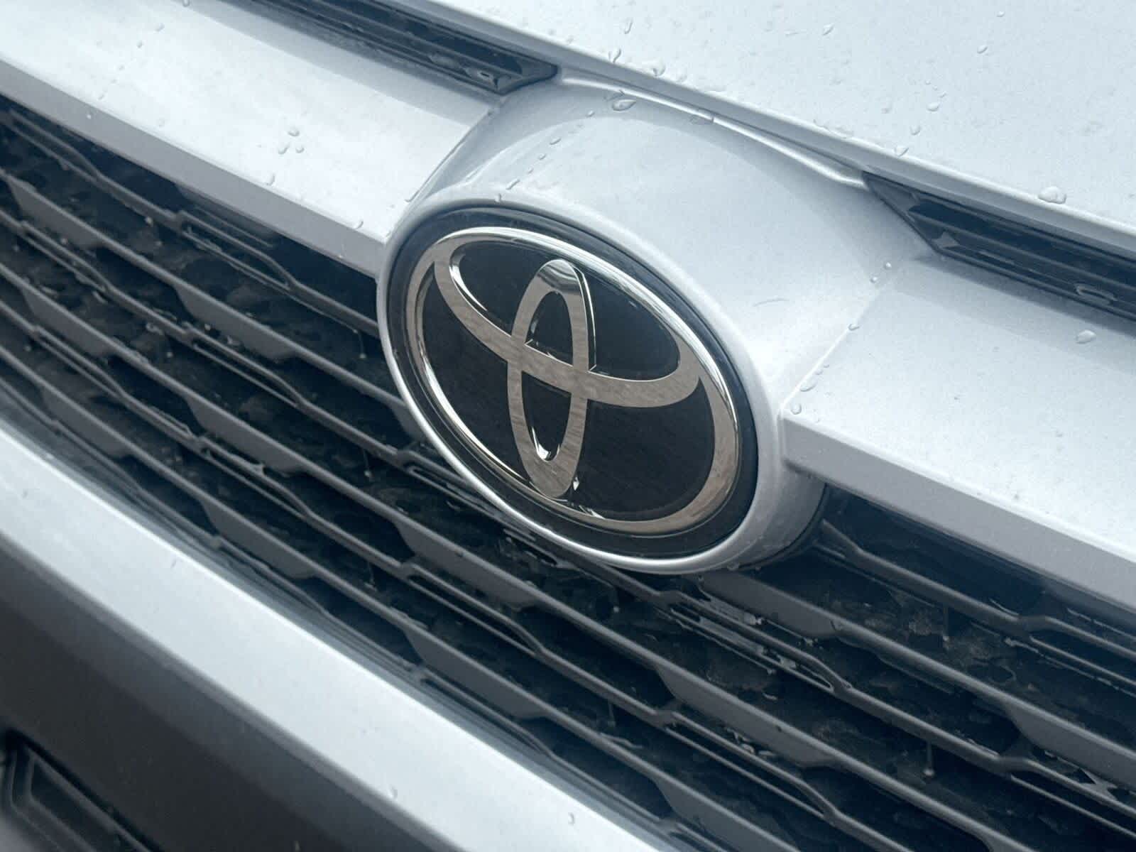 Thumbnail: 2025 Toyota RAV4 - 32