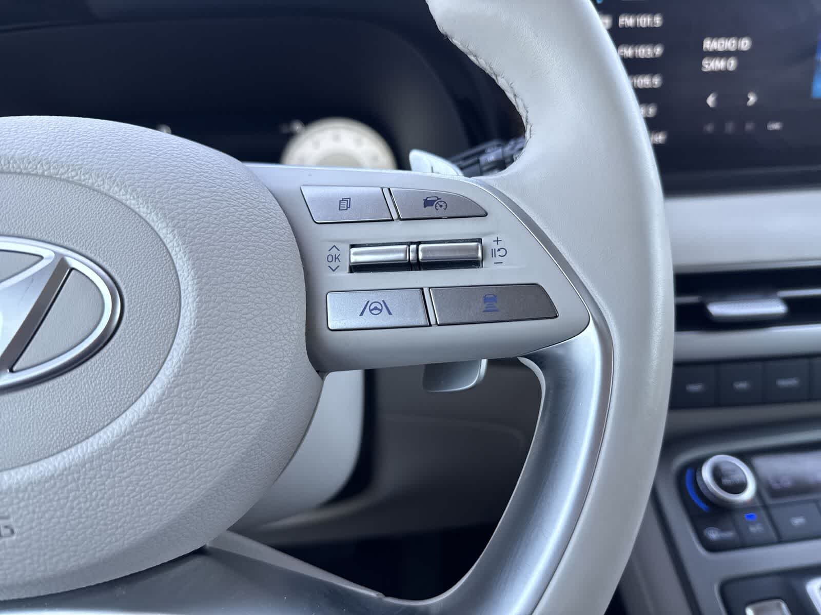 Thumbnail: 2024 Hyundai Palisade - 29