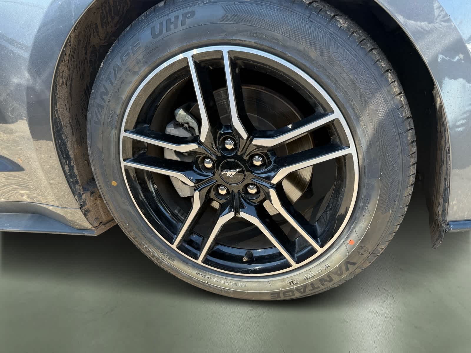 2023 Ford Mustang  5