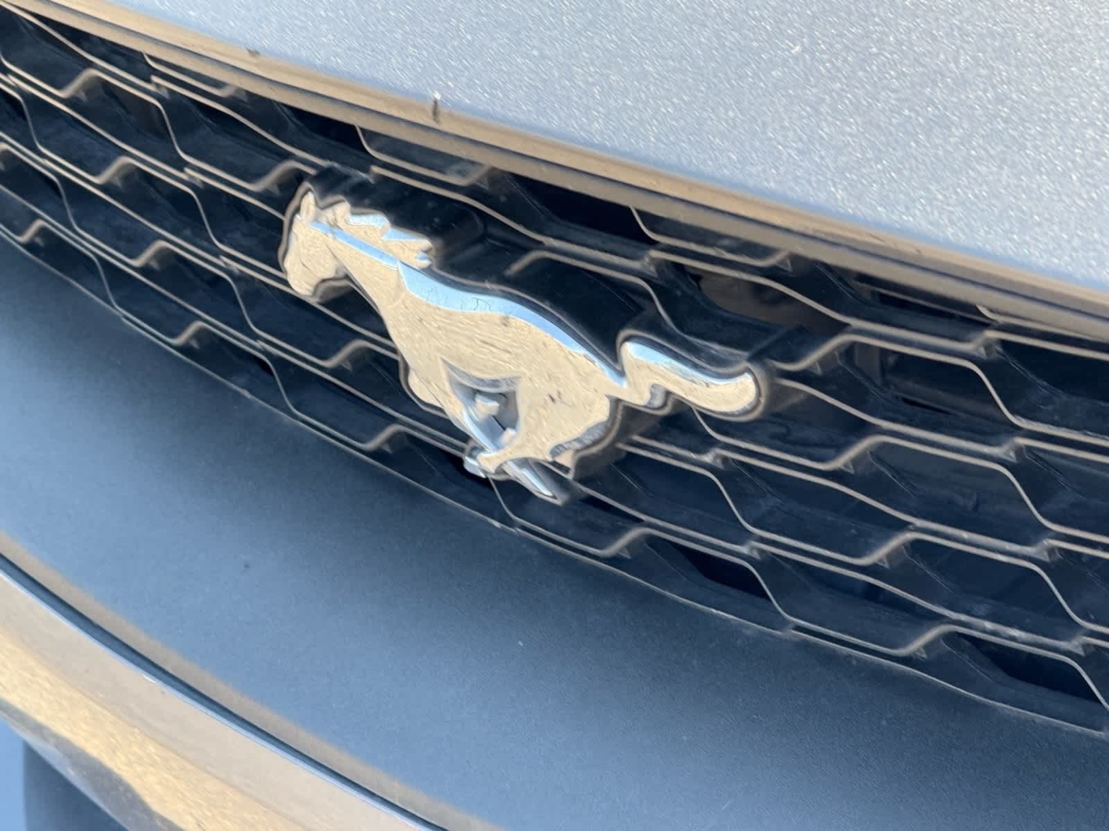 2023 Ford Mustang  19
