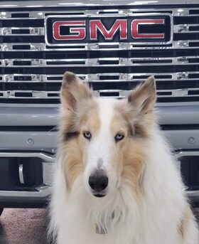 Staff member Klimt from ID_26ff21