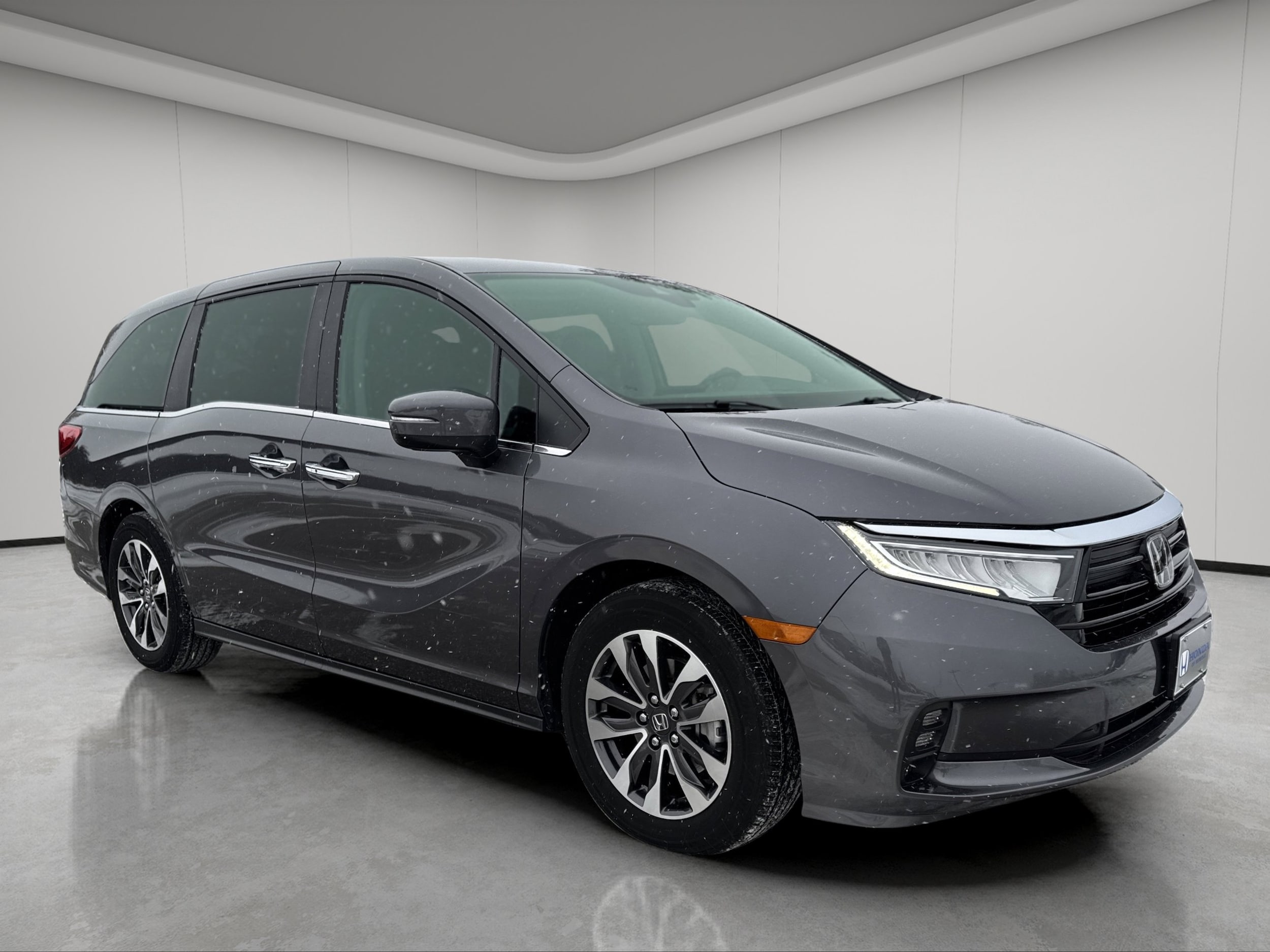 2024 Honda Odyssey EX-L's photo